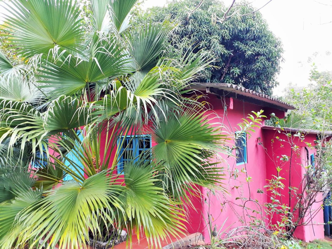 Casa Maya Санта-Каталина Экстерьер фото